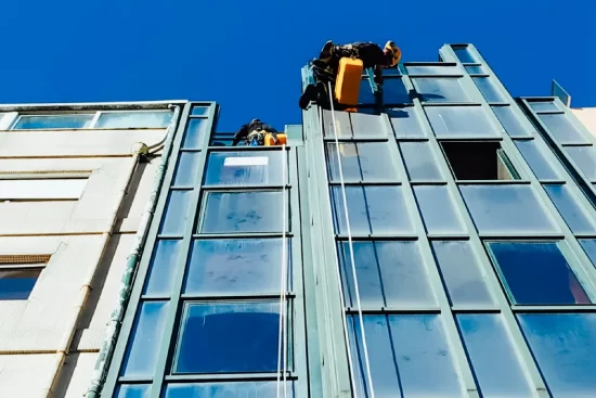 limpeza (1) limpeza (1)