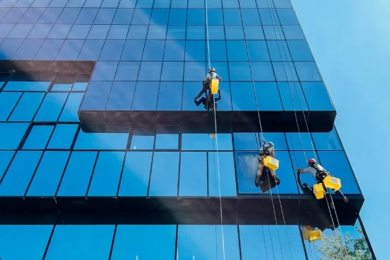 limpeza (11) limpeza (11)