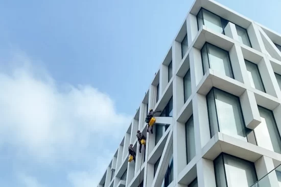 limpeza (14) limpeza (14)