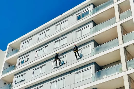 limpeza (16) limpeza (16)