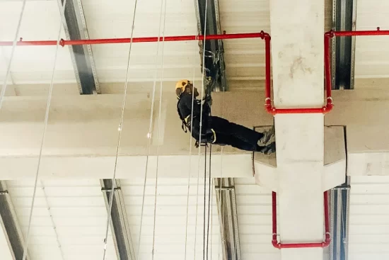 reabilitacao (15) reabilitacao (15)